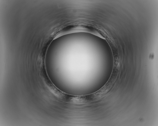 X0000094970568200711291506