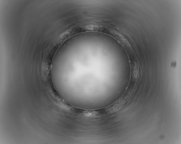 X0000094970569200711291506