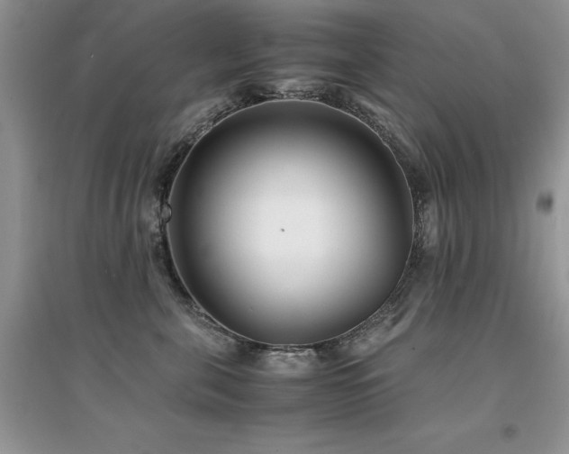 X0000094970571200711291506