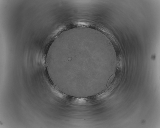 X0000094970573200711291506