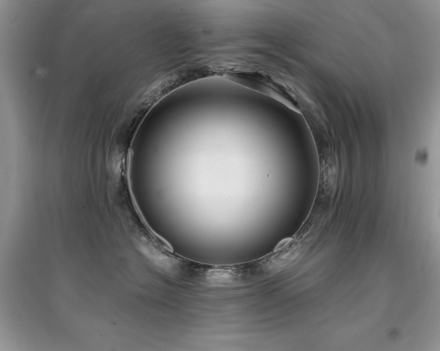 X0000094970574200711291506