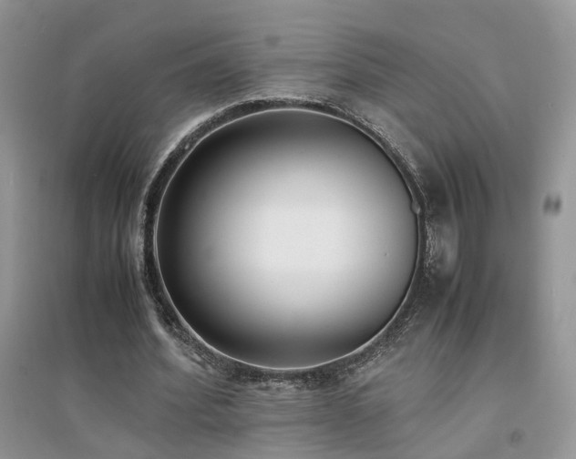 X0000094970580200711291506