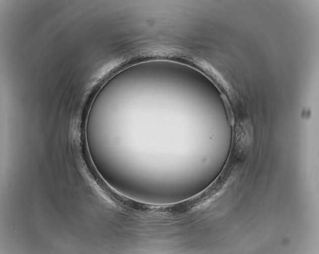 X0000094970581200711291506