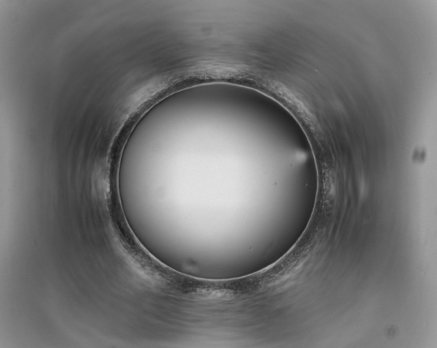 X0000094970582200711291506