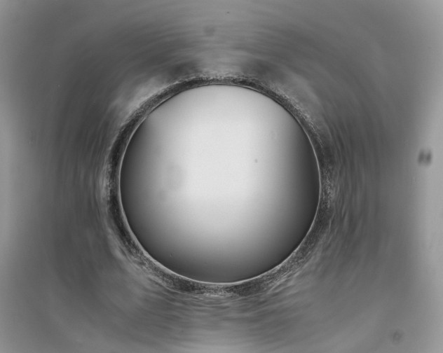 X0000094970583200711291506