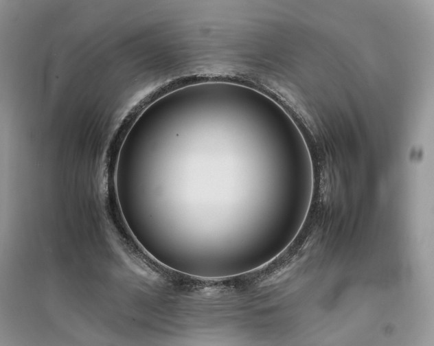 X0000094970584200711291506