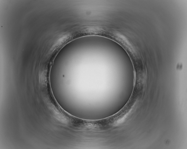 X0000094970585200711291506