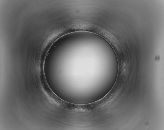 X0000094970586200711291506