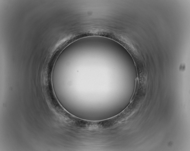 X0000094970587200711291505