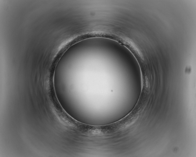 X0000094970588200711291505