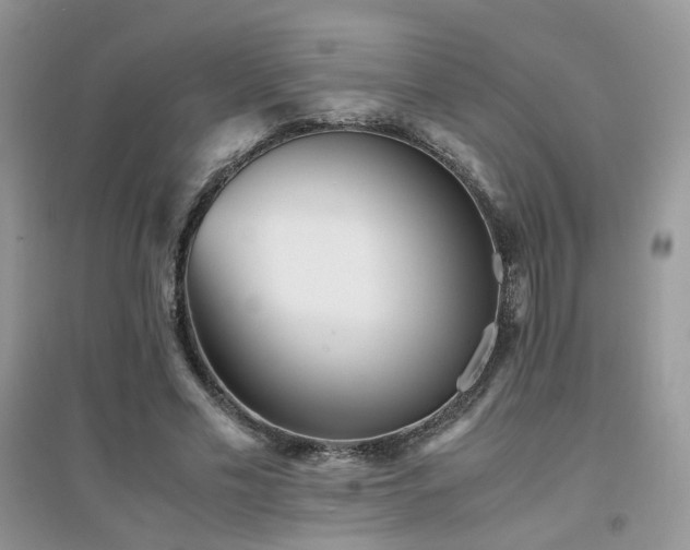 X0000094970589200711291505