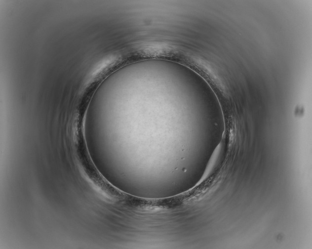 X0000094970590200711291505