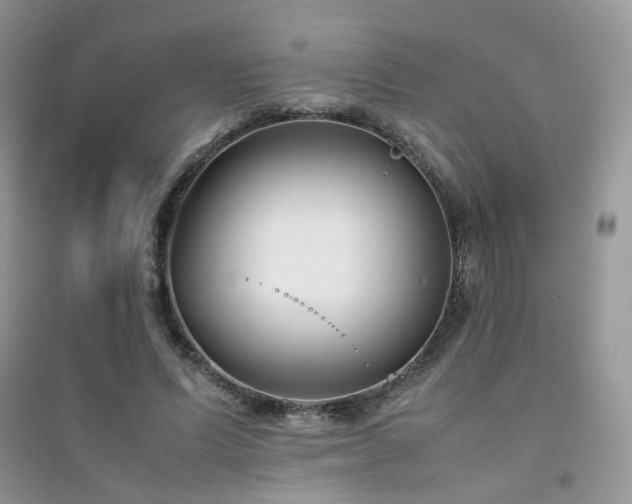 X0000094970591200711291505