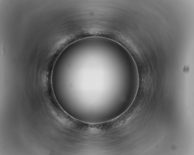 X0000094970592200711291505