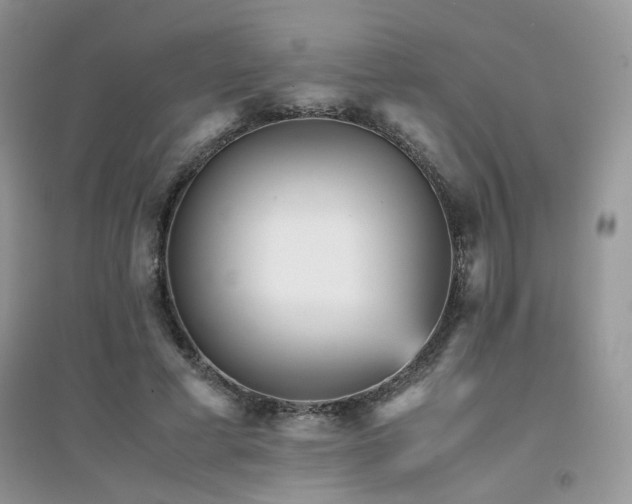 X0000094970593200711291505