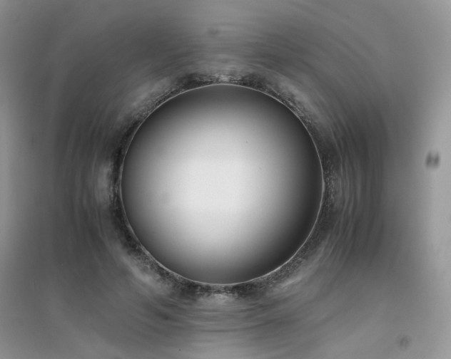 X0000094970594200711291505