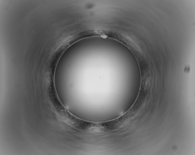X0000094970595200711291505