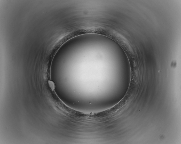 X0000094970596200711291505