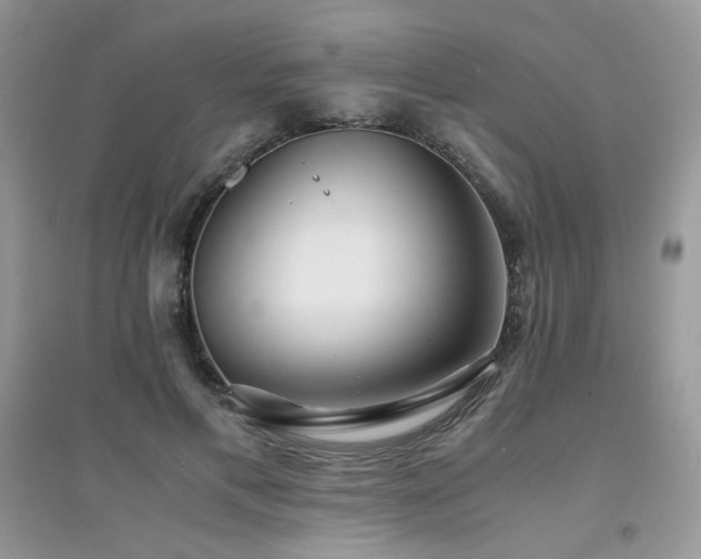 X0000094970597200711291505