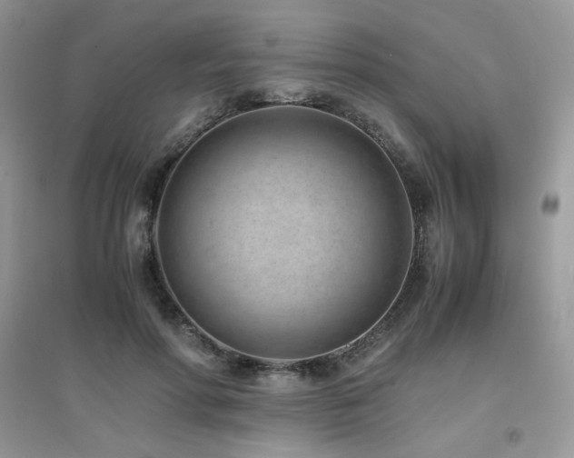 X0000094970598200711291505