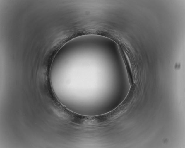 X0000094970599200711291505