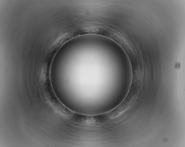 X0000094970600200711291505