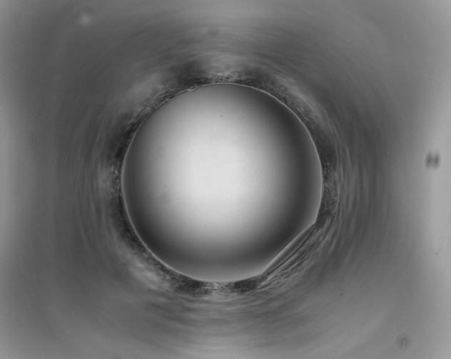 X0000094970601200711291505