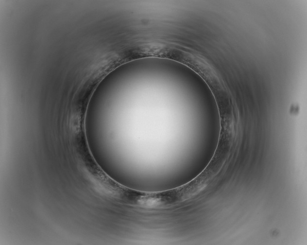 X0000094970602200711291505