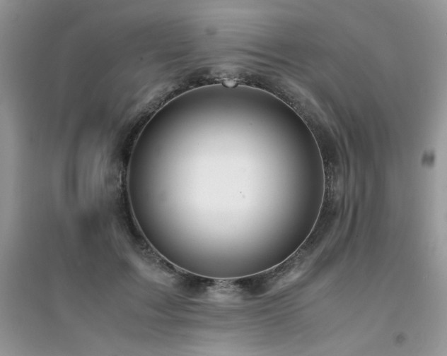 X0000094970603200711291505