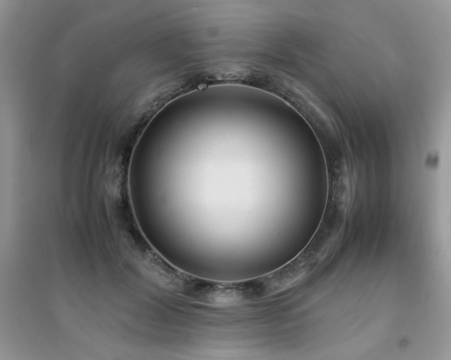 X0000094970604200711291505