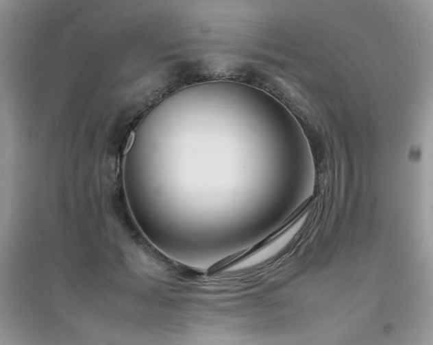 X0000094970605200711291505