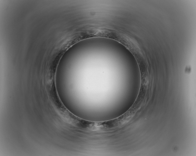 X0000094970607200711291505