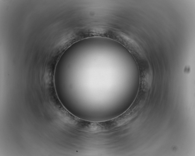 X0000094970608200711291505