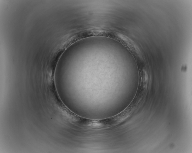 X0000094970610200711291505