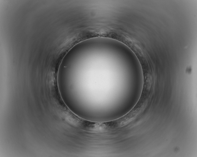 X0000094970612200711291505