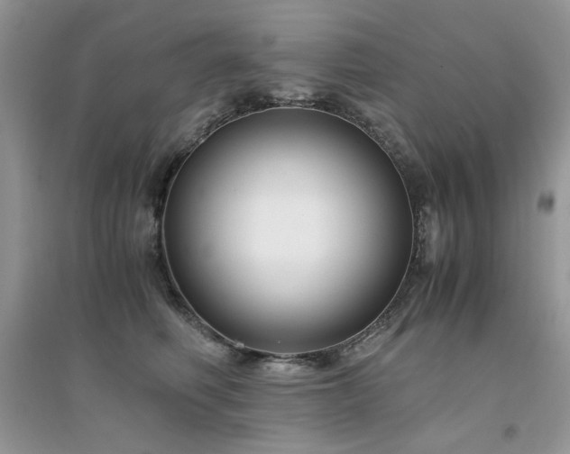 X0000094970614200711291505