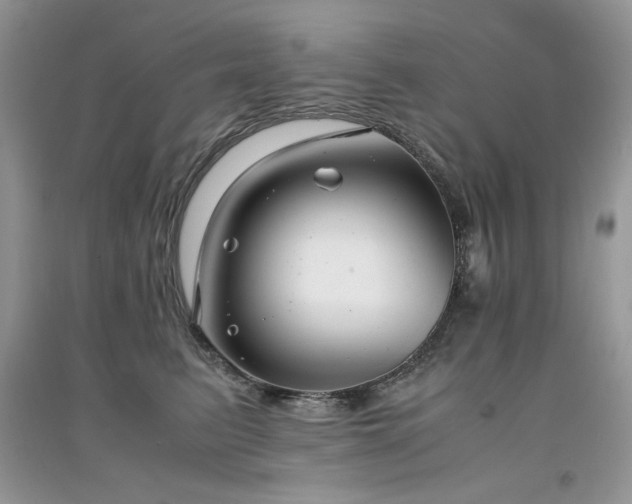 X0000094970615200711291505