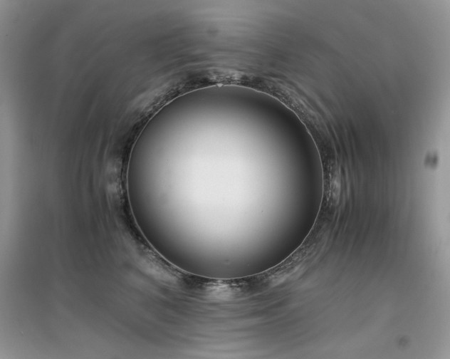 X0000094970616200711291505