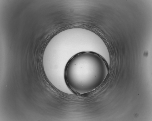 X0000094970617200711291505