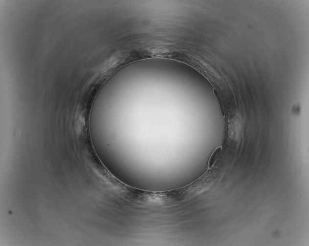 X0000094970618200711291505