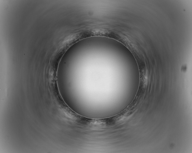 X0000094970619200711291505