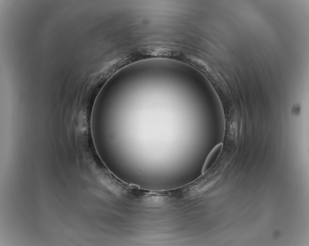 X0000094970620200711291505