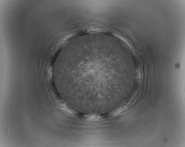 X0000094970621200711291505