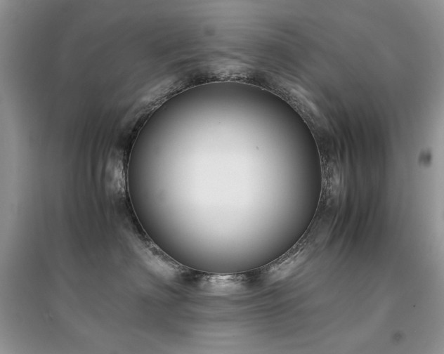X0000094970622200711291505