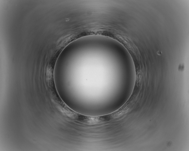 X0000094970623200711291505