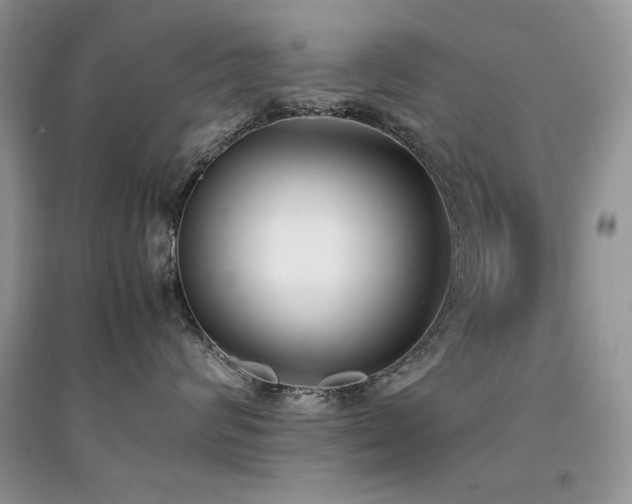 X0000094970624200711291505