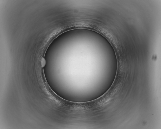 X0000094970625200711291504
