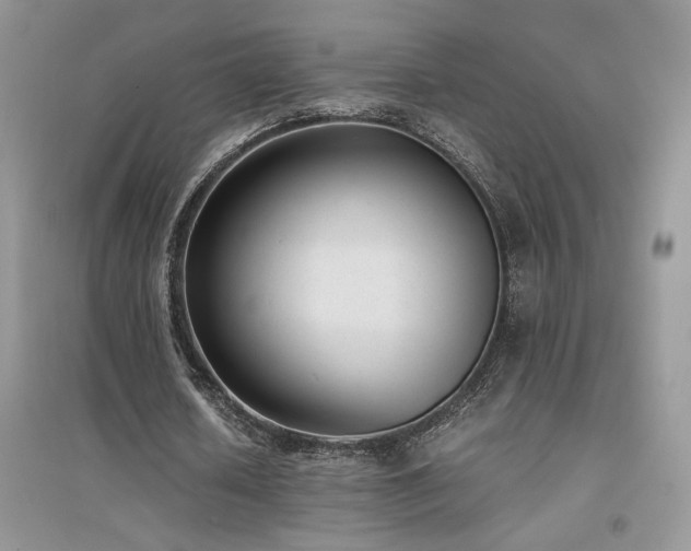 X0000094970626200711291504