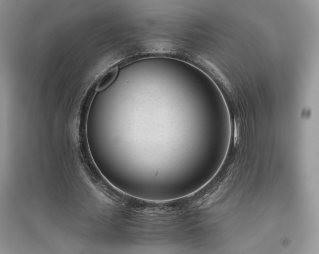 X0000094970627200711291504