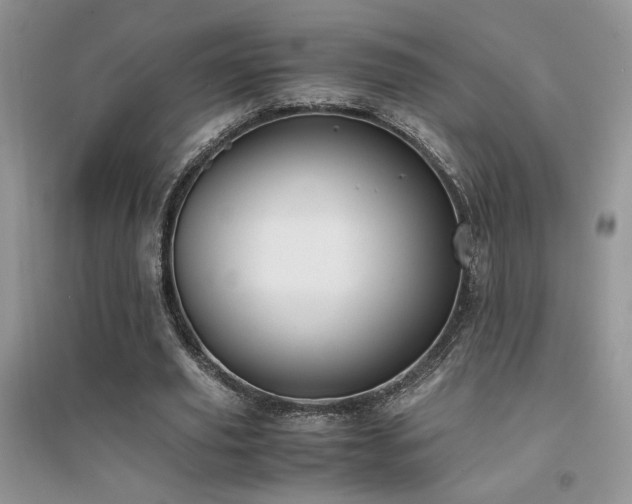 X0000094970629200711291504